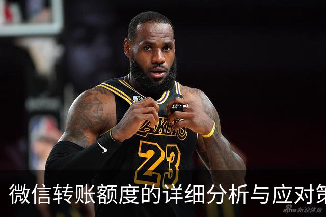 微信转账额度的详细分析与应对策略