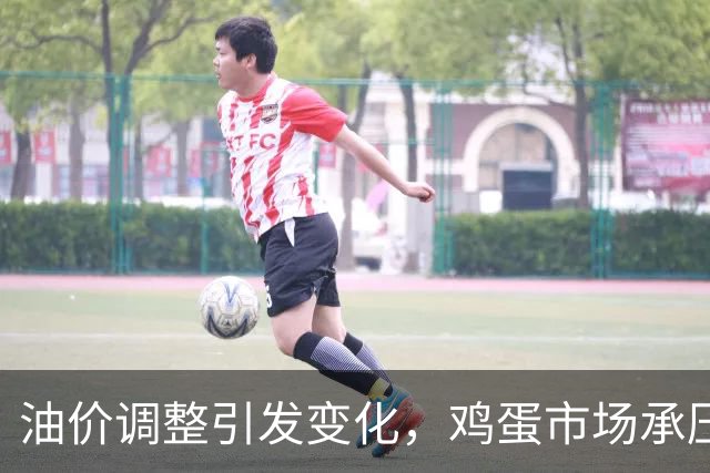 油价调整引发变化，鸡蛋市场承压，价格面临反弹